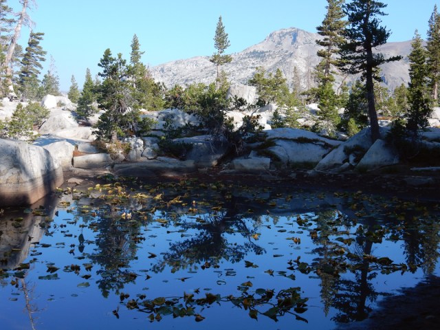 Yellow-gold leaves and reflected trees create a vibrant pattern on the water.